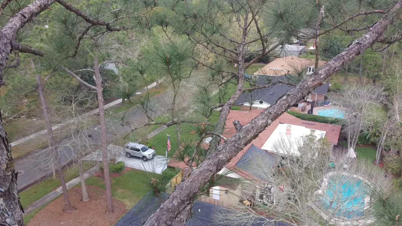 Treetop view over a Jacksonville neighborhood from the aerial lift — tree service in Jacksonville, FL by Jax Tree Removal