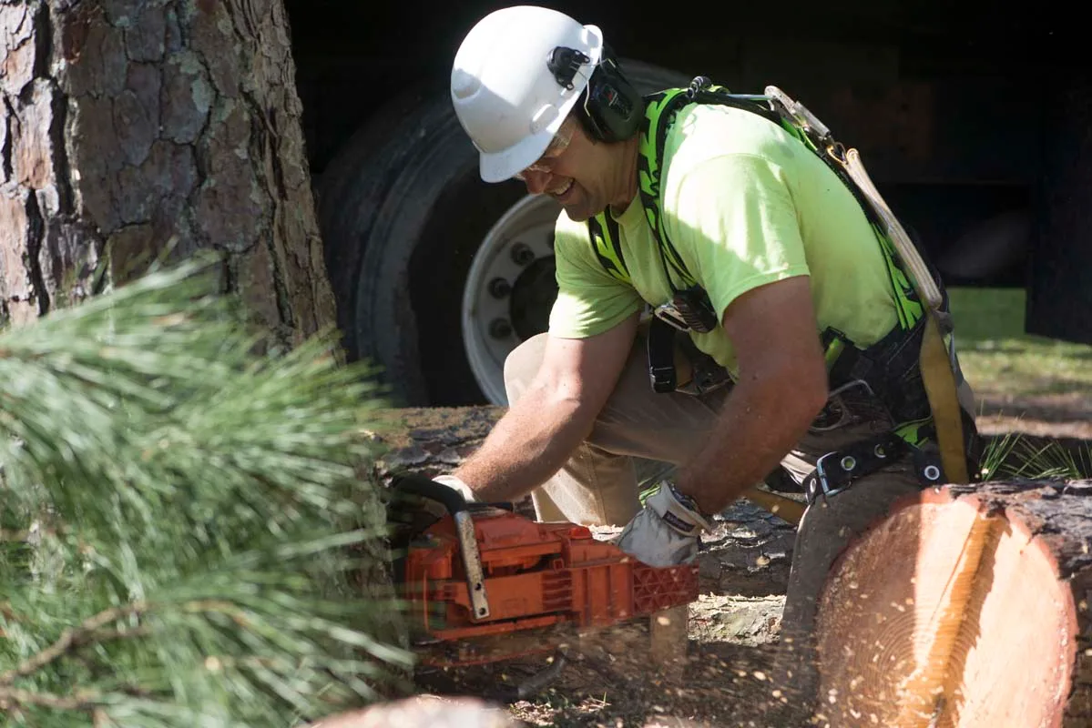 Arborist bucking a log with a chainsaw by the truck — tree service in Jacksonville, FL by Jax Tree Removal