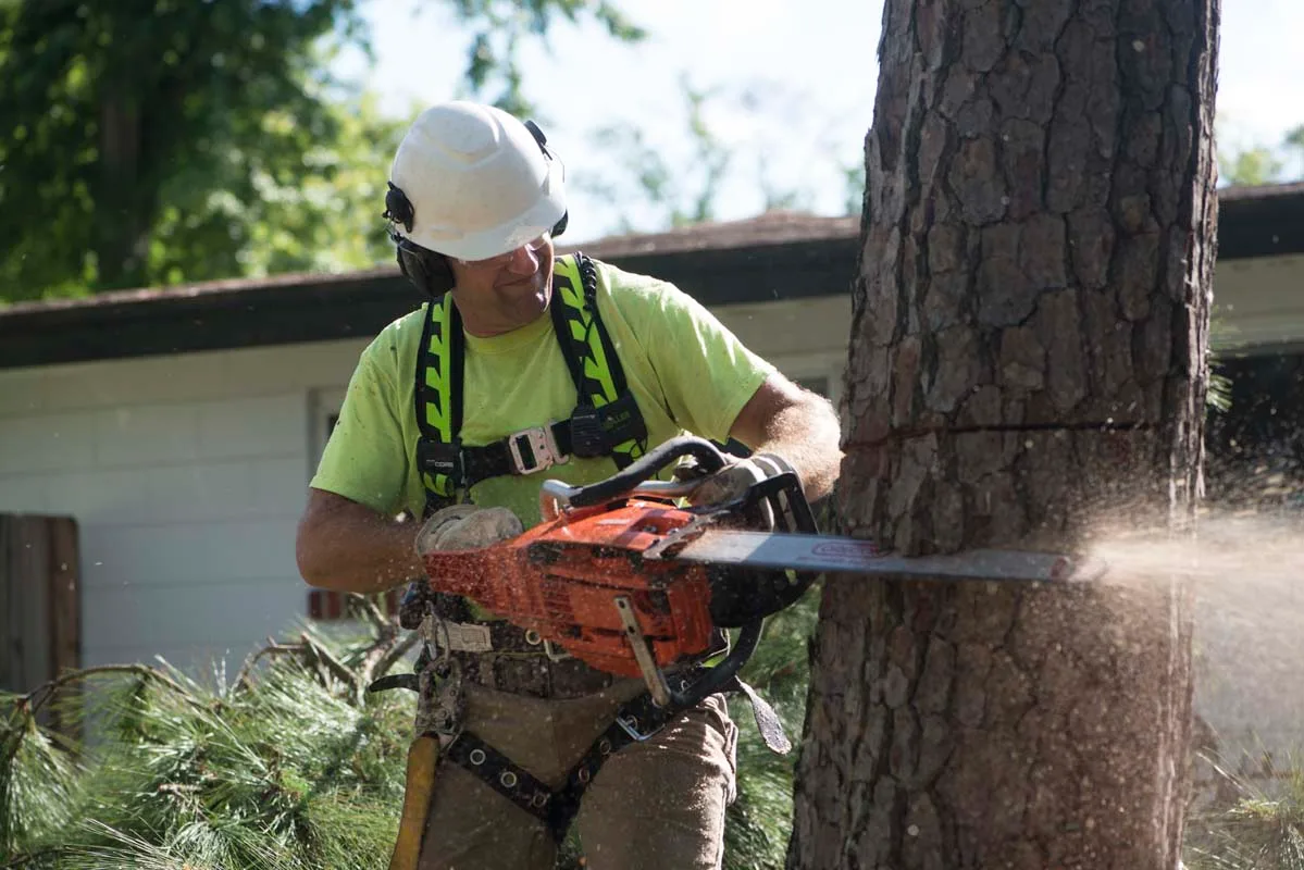 Arborist cutting a log with a chainsaw, sawdust flying — tree service in Jacksonville, FL by Jax Tree Removal