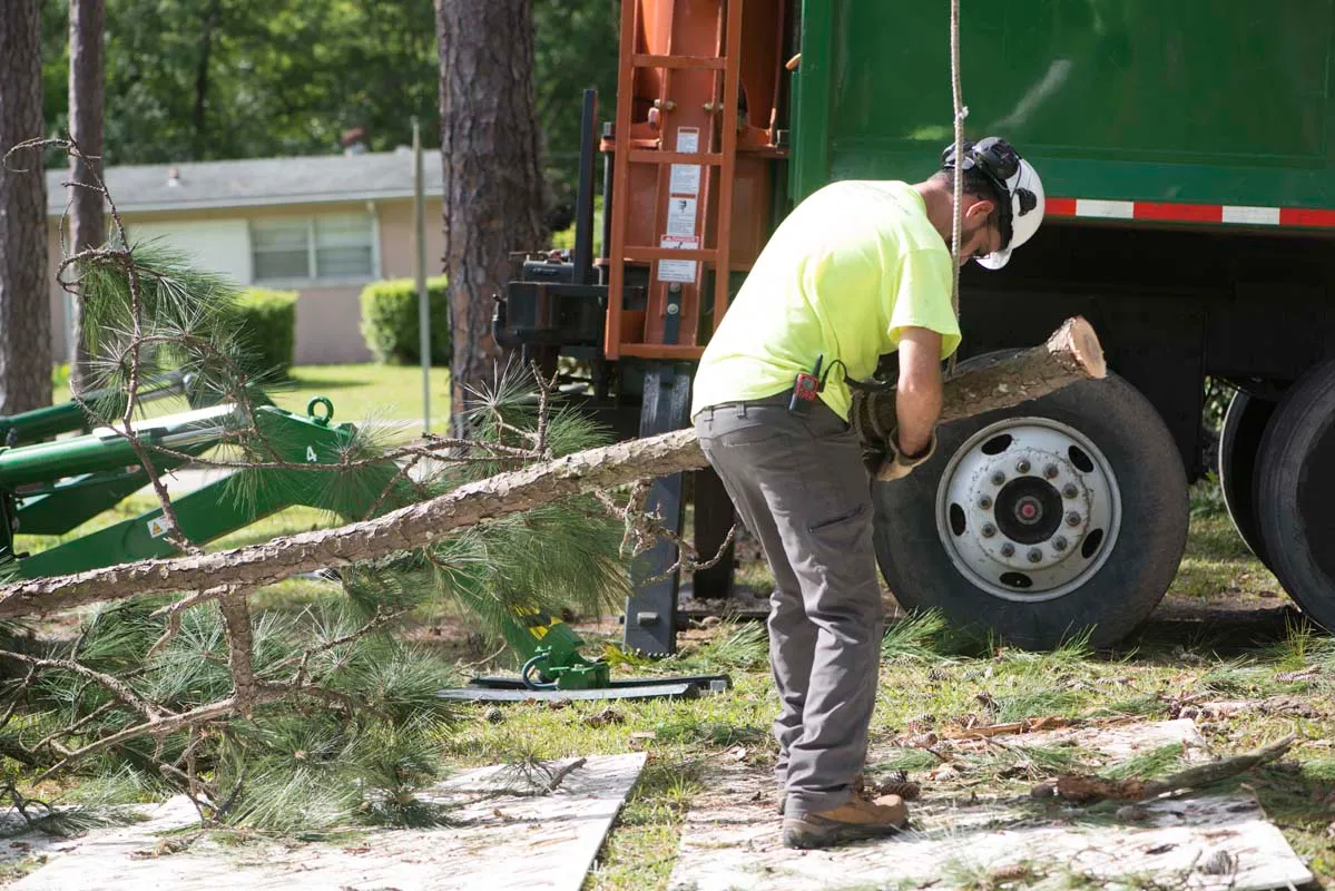 Arborist cutting a limb beside the truck — tree service in Jacksonville, FL by Jax Tree Removal