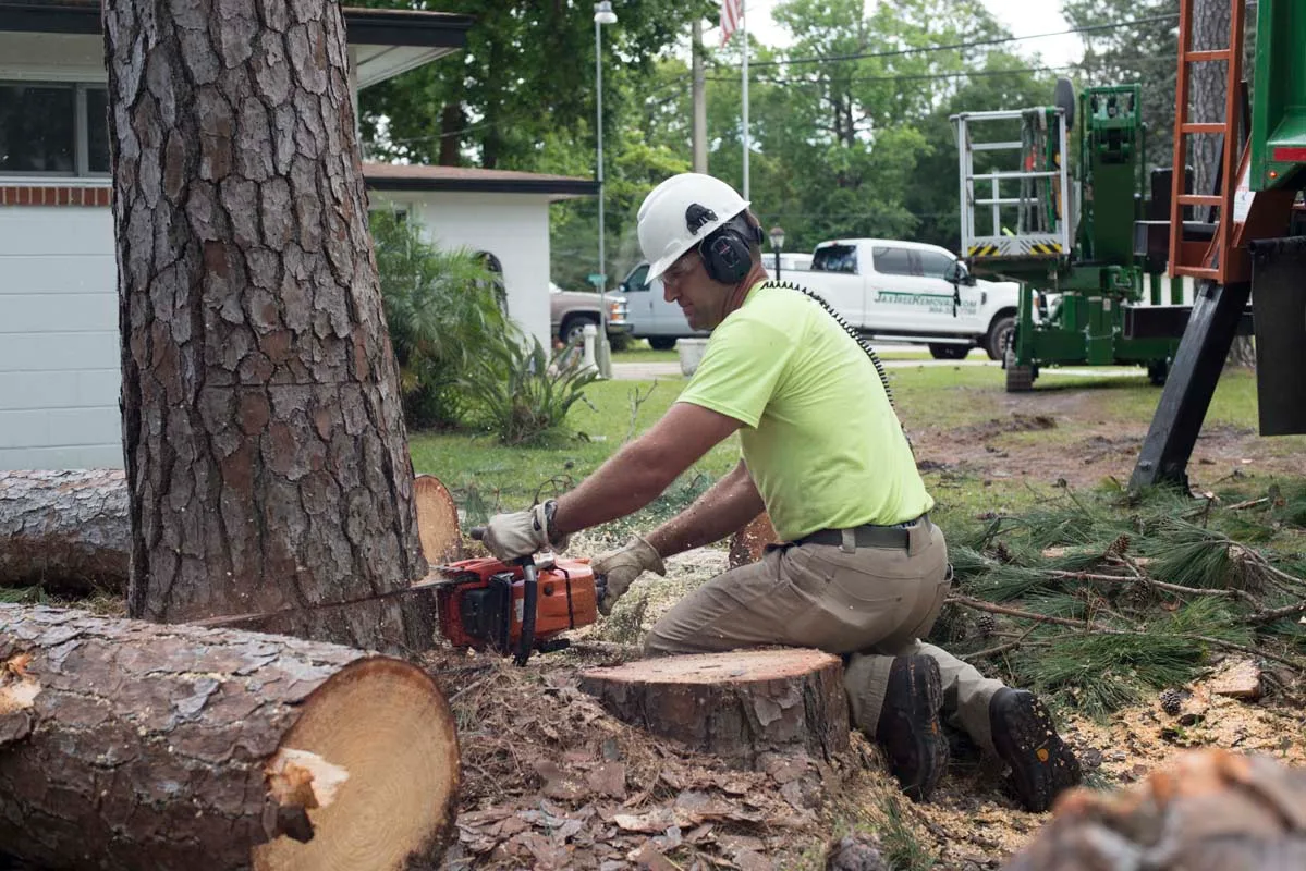 Arborist cutting log rounds with a chainsaw — tree service in Jacksonville, FL by Jax Tree Removal
