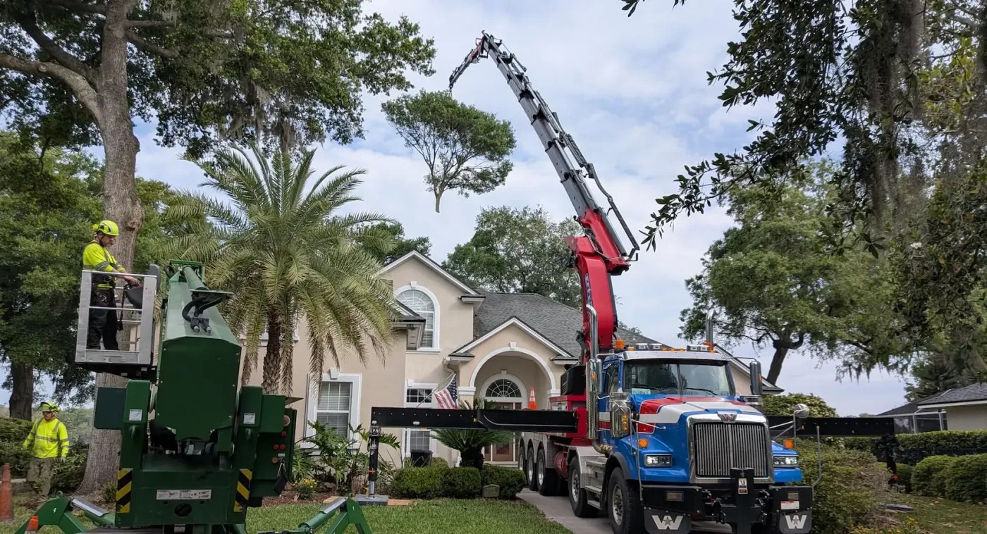 Backyard tree removal crane assist mandarin — crane tree removal in Jacksonville, FL by Jax Tree Removal