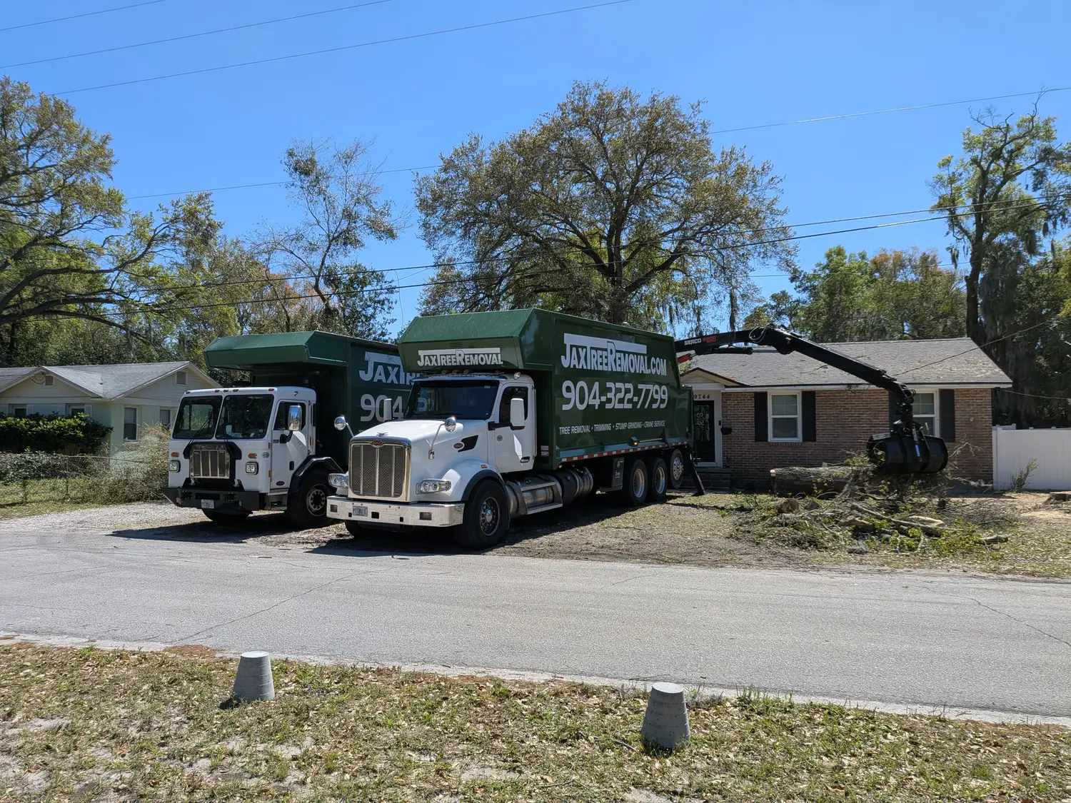 Jax Tree Removal branded trucks on a Jacksonville tree-removal job