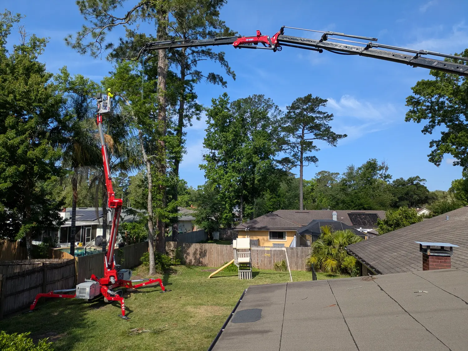 Spider-lift tree crew maintaining trees in a Jacksonville backyard