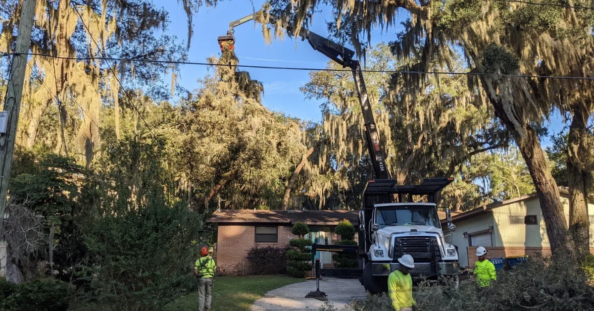 Crane-assisted work on a mature live oak over a Jacksonville home