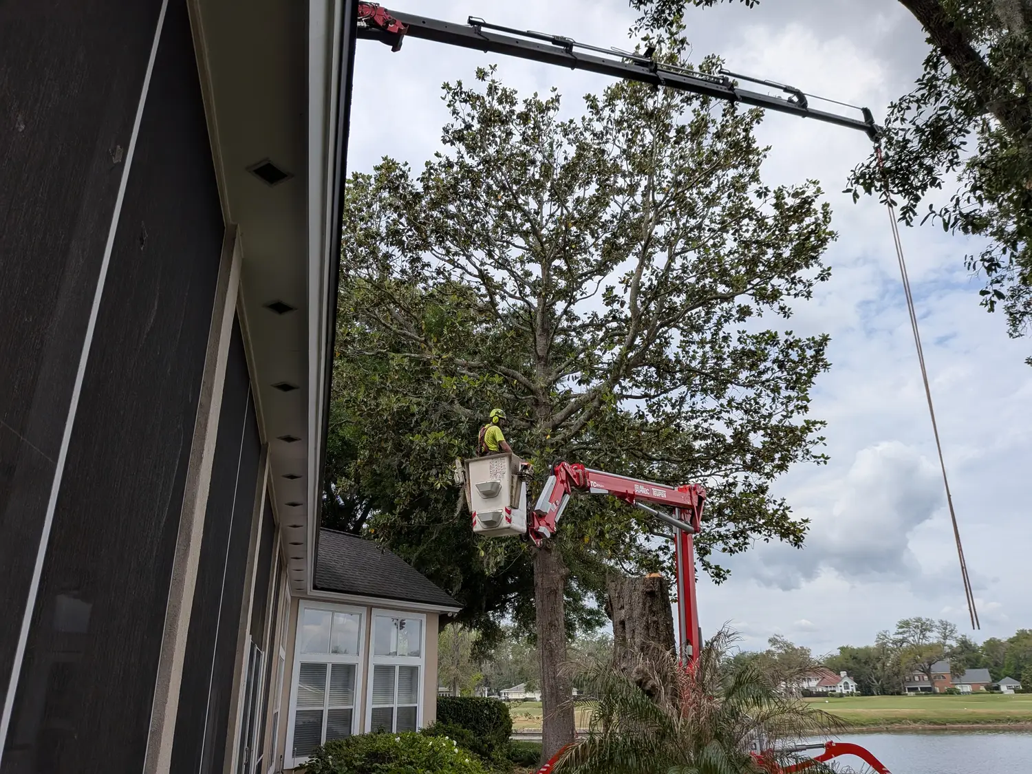 Spider-lift tree crew servicing an oak on a Ponte Vedra golf-course lakefront property