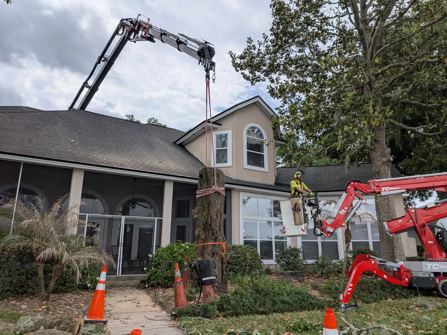 Jax Tree Removal crane crew safely removing a tree in Jacksonville