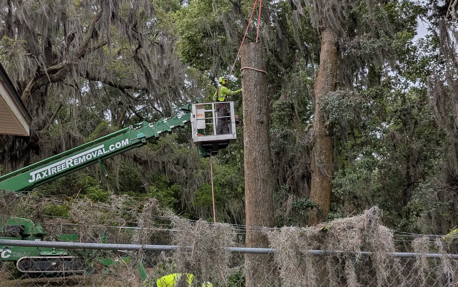 Jax Tree Removal crew managing an overgrown tree from a spider lift in Jacksonville
