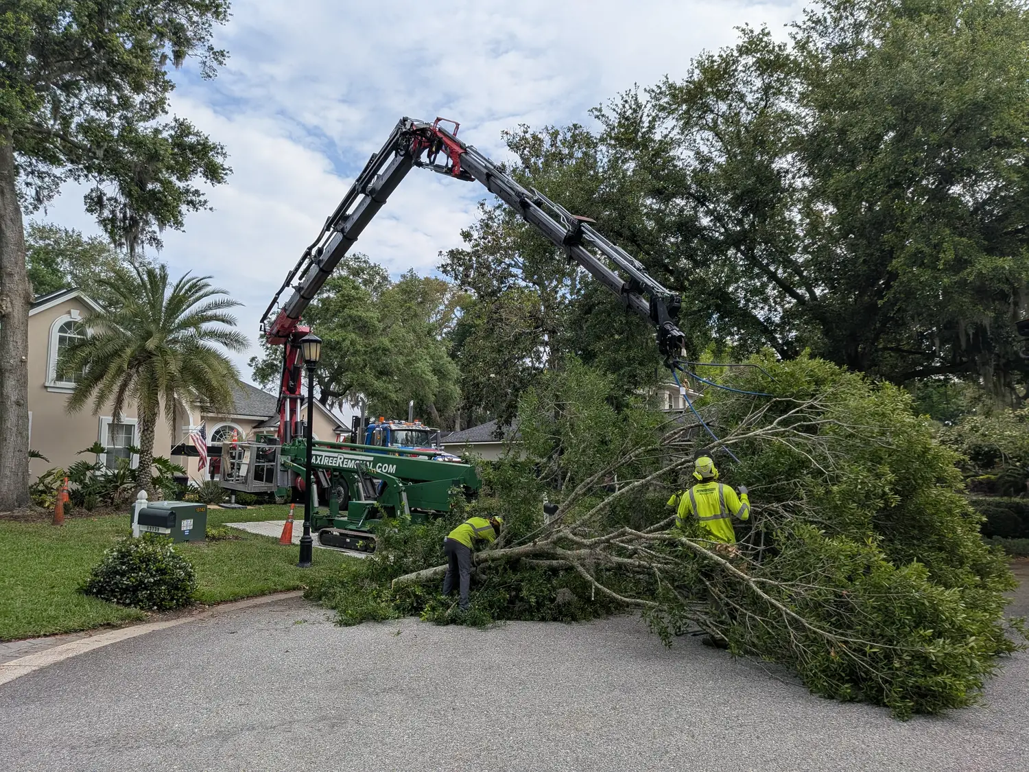 Jax Tree Removal crew processing a large removed tree at an upscale Jacksonville home
