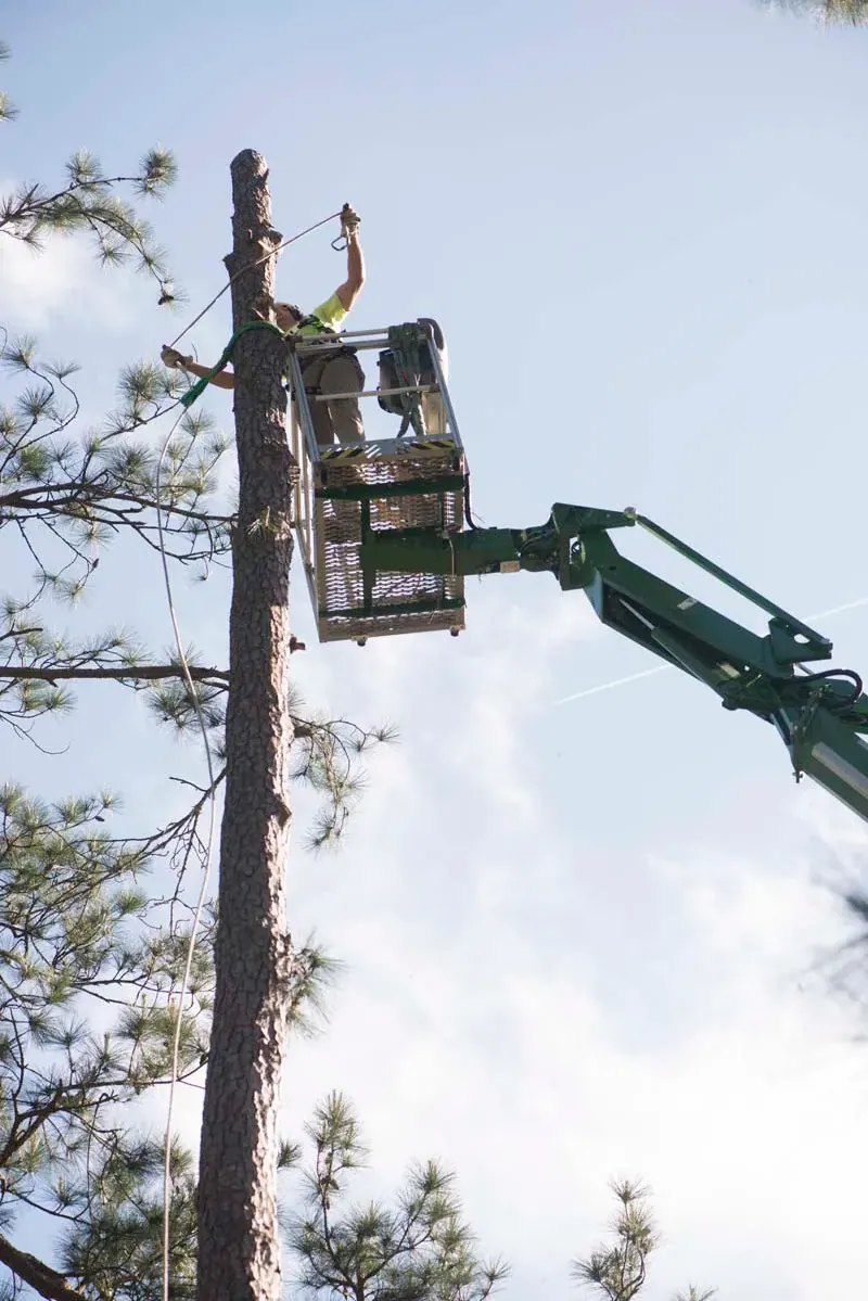 Aerial lift holding a suspended log during rigging — tree removal in Jacksonville, FL by Jax Tree Removal