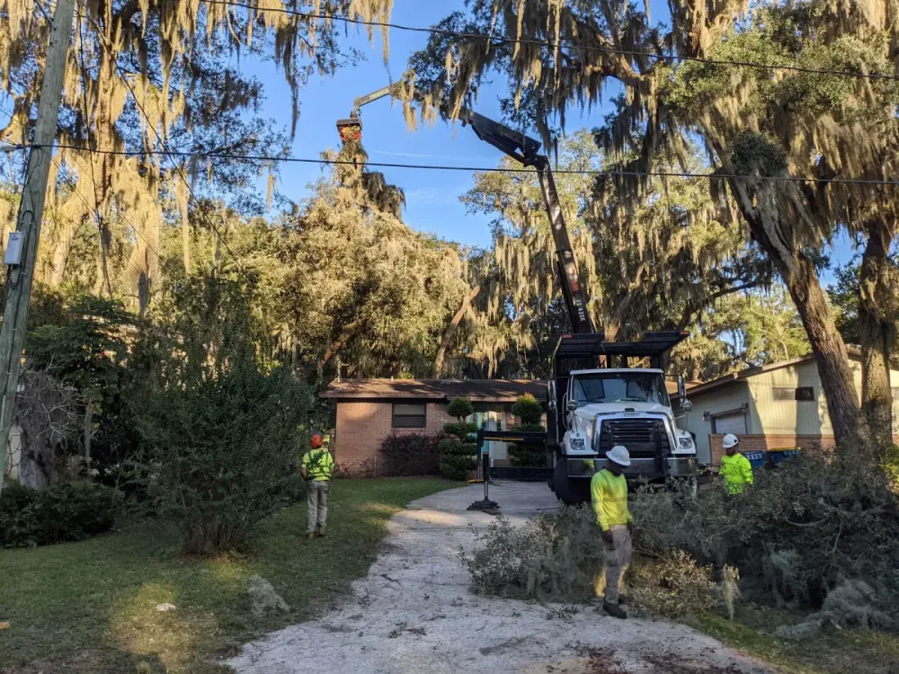 Crane truck and crew removing limbs under mossy oaks at a home — crane tree removal in Jacksonville, FL by Jax Tree Removal