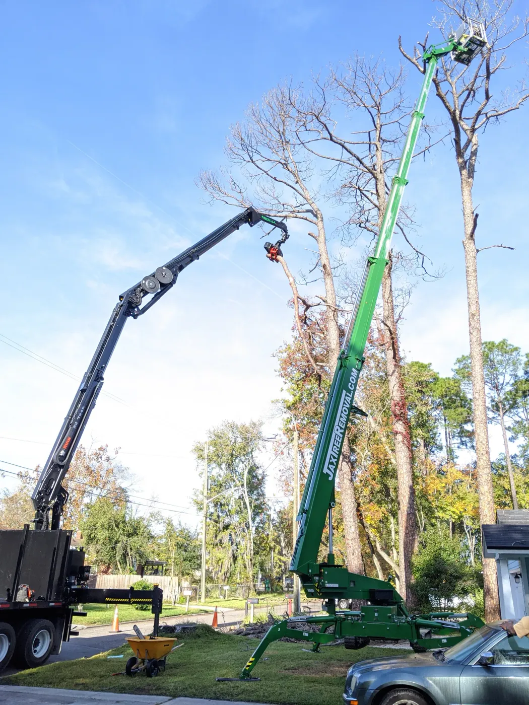 Knuckle-boom crane at full reach into a tall pine — crane tree removal in Jacksonville, FL by Jax Tree Removal