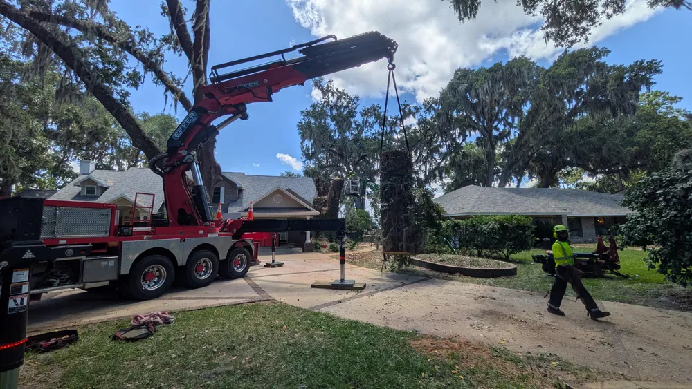 Jax Tree Removal red Effer crane with boom extended hoisting a suspended moss-draped oak trunk in a Mandarin front yard, Jacksonville FL