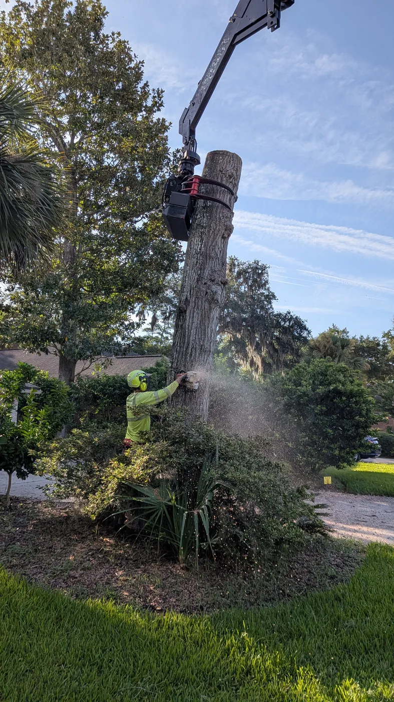 Jax Tree Removal groundman cutting a large oak trunk section suspended in the crane grapple, sawdust flying, at a Jacksonville home