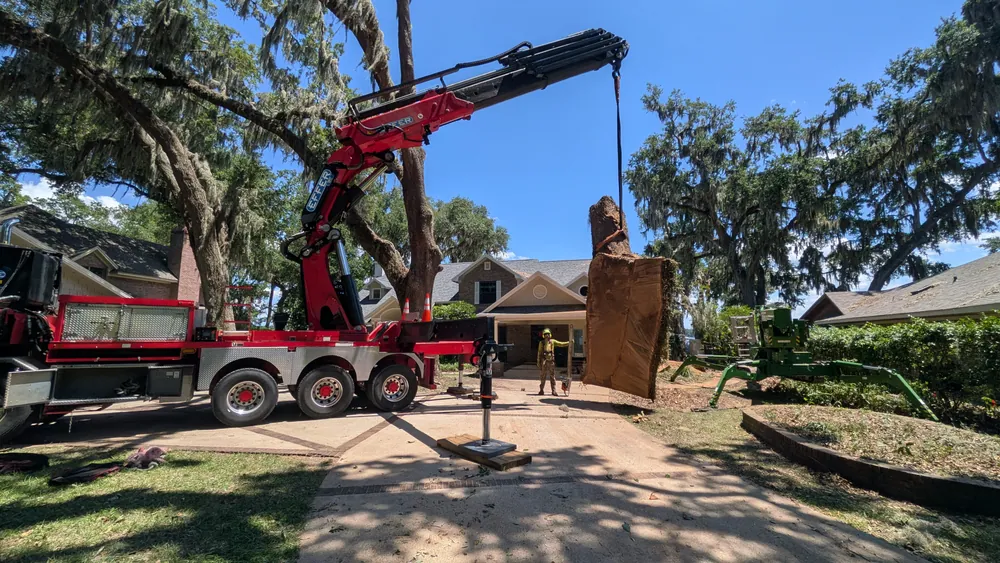 Jax Tree Removal red Effer crane lifting a massive freshly-cut oak trunk slab with a groundman and chainsaw beside it for scale in Mandarin, Jacksonville FL