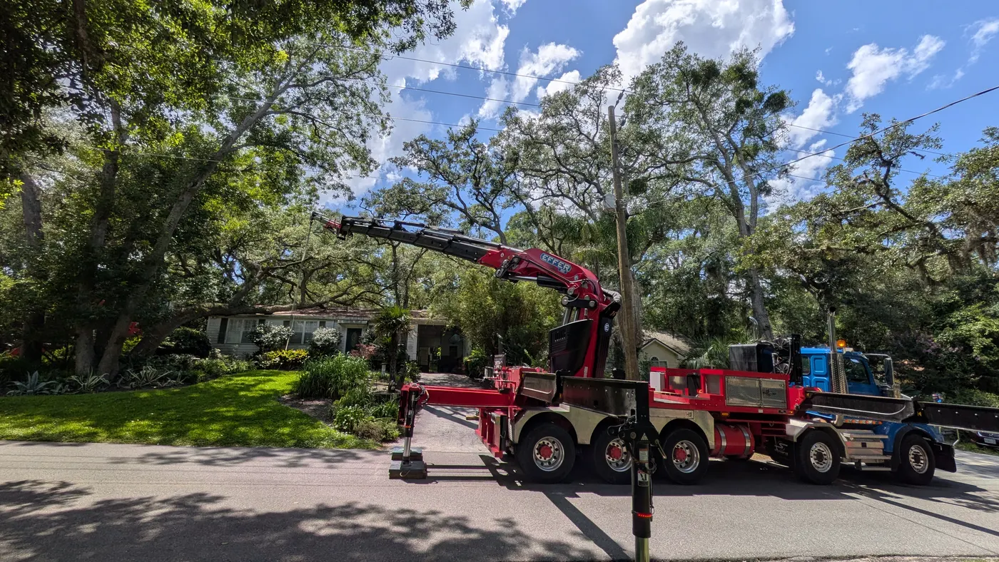 Jax Tree Removal red Effer knuckle-boom crane on a blue Western Star truck reaching its boom into a live oak canopy over a home, Jacksonville, FL