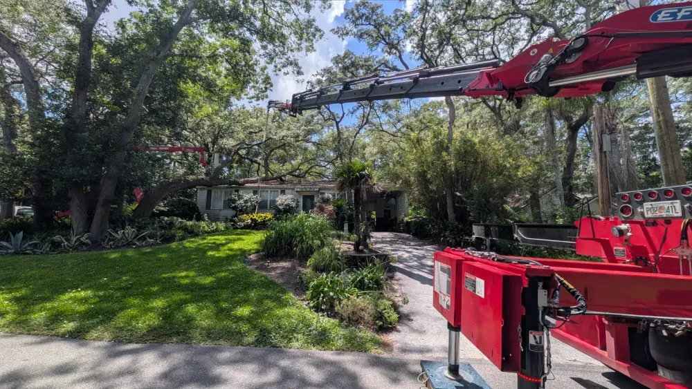 Jax Tree Removal red Effer knuckle-boom crane reaching over a home toward tall oaks while a climber works from a red aerial lift in the canopy, Jacksonville, FL