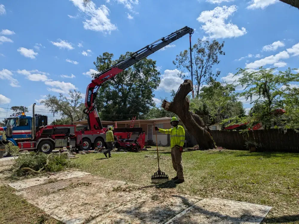 Jax Tree Removal crew member clearing debris during a crane tree removal in Jacksonville