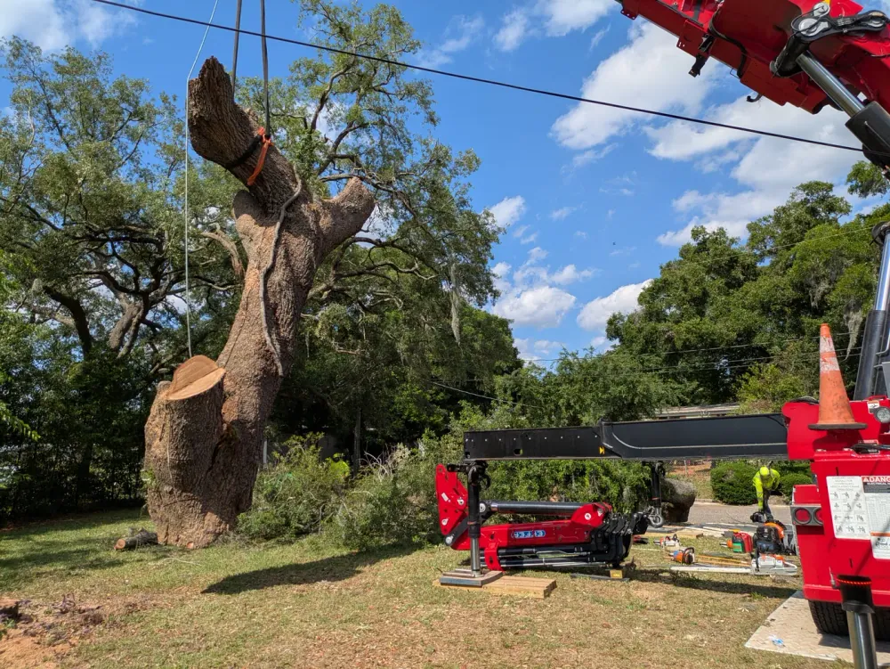 Jax Tree Removal red Effer crane hoisting a strapped oak trunk section straight up beside the cut stump as a hi-vis groundman works, Jacksonville, FL