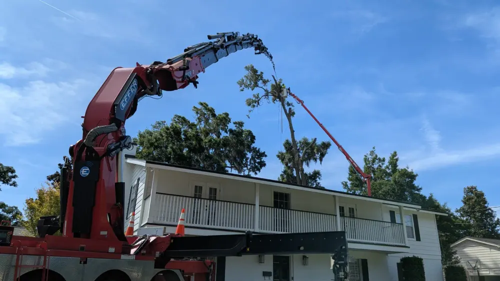 Jax Tree Removal red Effer knuckle-boom crane arched over a moss-draped oak while a climber cuts from a red aerial lift basket above a two-story white home in Jacksonville, FL