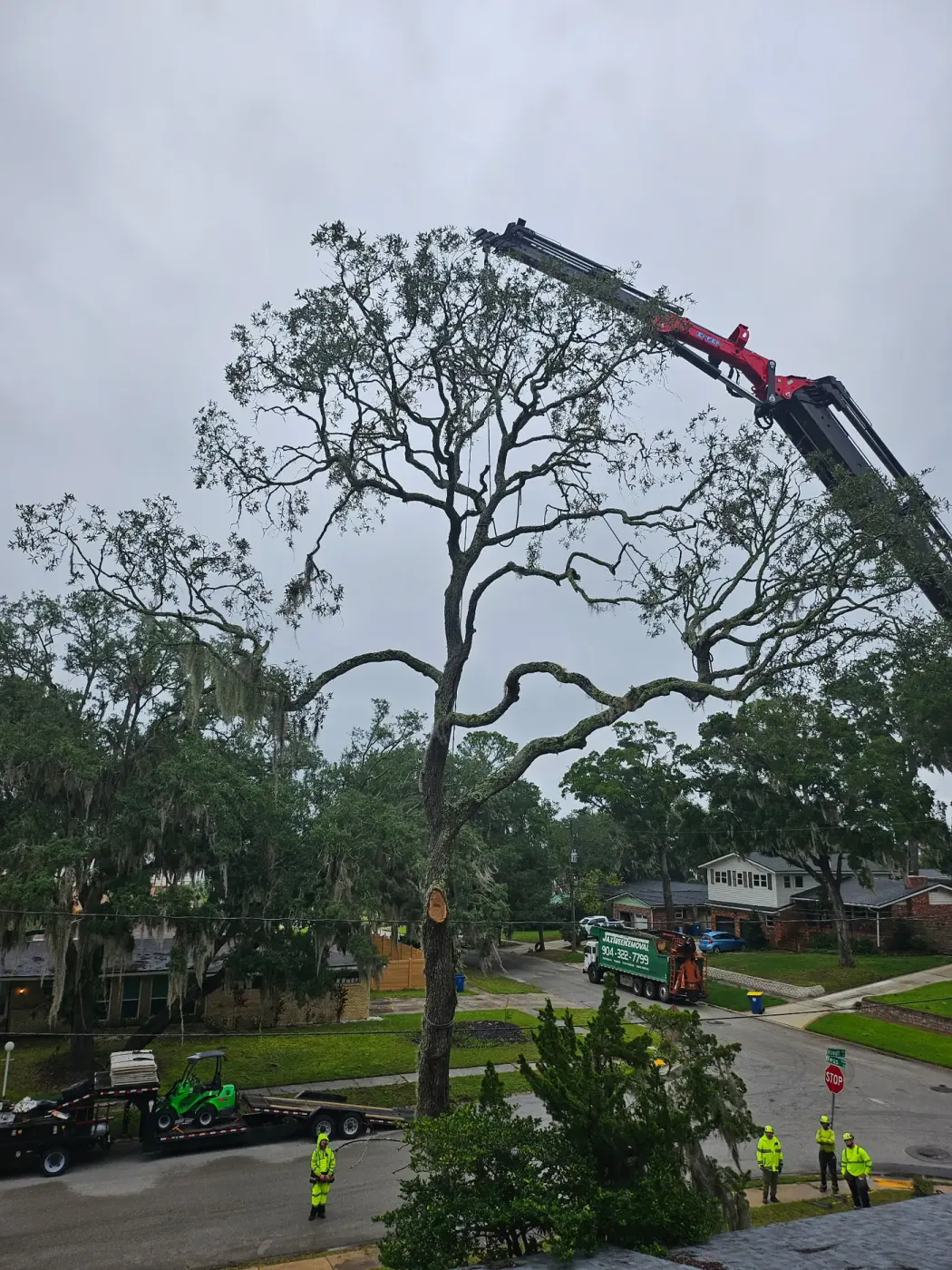 Jax Tree Removal red Effer knuckle-boom crane arched over a tall bare oak on an overcast day, a green mini loader on a trailer and hi-vis crew below in Jacksonville, FL