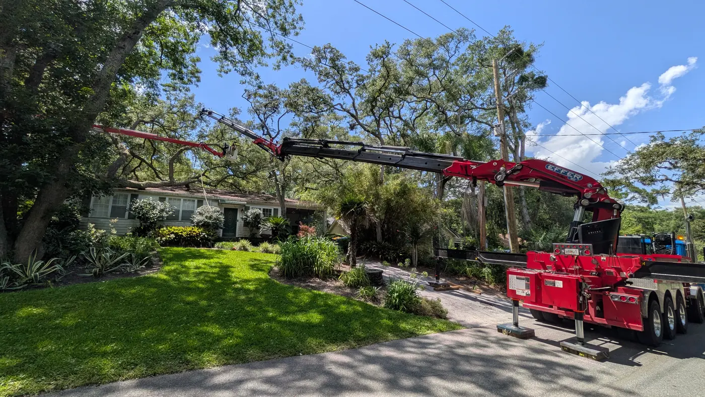 Jax Tree Removal red Effer knuckle-boom crane extended over a ranch home toward a large oak while a climber works from a red aerial lift in the canopy, Jacksonville, FL