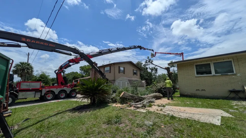 Jax Tree Removal red Barko knuckle-boom crane truck working alongside a red aerial lift as a climber trims an oak, hi-vis groundman below, Jacksonville, FL