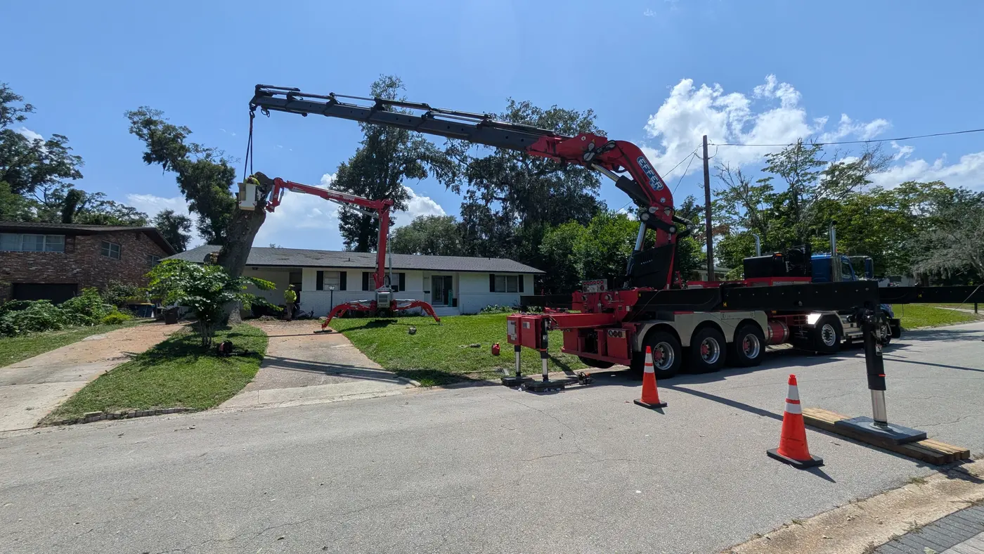 Jax Tree Removal red Effer knuckle-boom crane truck reaching over a ranch home while a red spider lift raises a climber into the oak, Jacksonville, FL