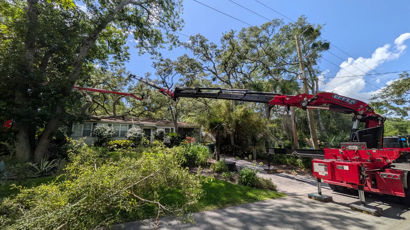 Jax Tree Removal red Effer knuckle-boom crane reaching over a sprawling live oak while a climber works from a red aerial lift beside a green ranch home in Jacksonville, FL