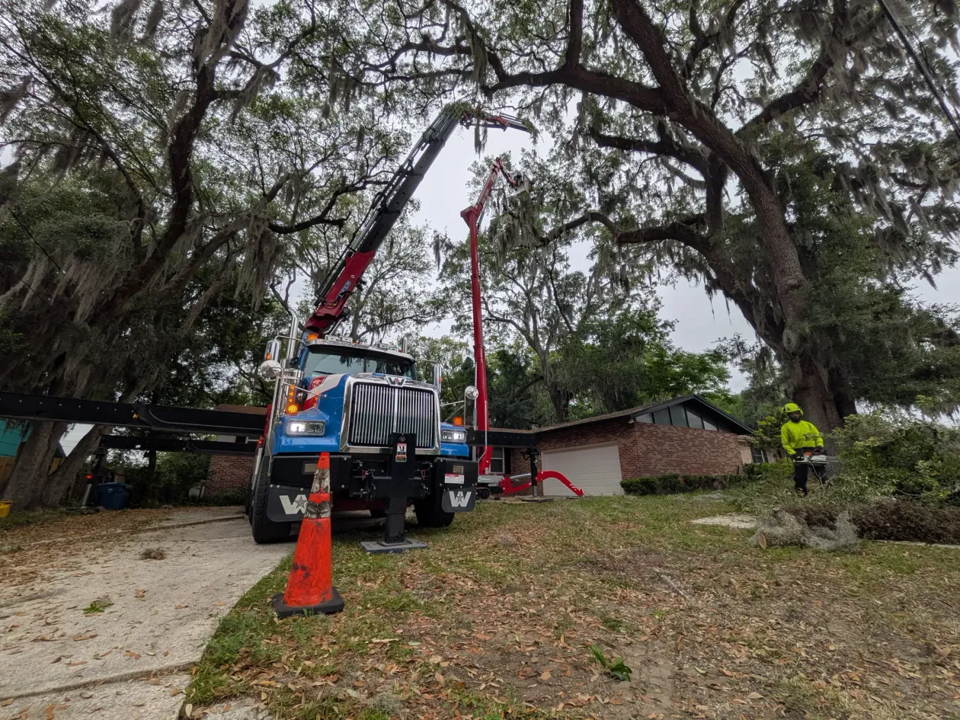 Blue crane truck and red aerial lift set up under Spanish-moss oaks for a tree removal at a brick ranch home in Jacksonville, FL