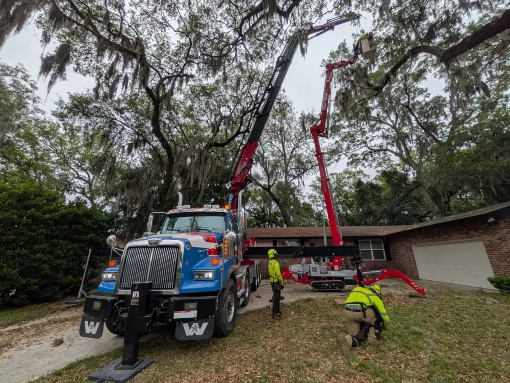 Jax Tree Removal knuckle-boom crane reaching over a brick ranch roof to an aerial lift working a moss-draped oak in Jacksonville, FL
