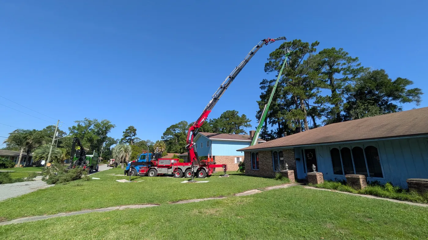 Jax Tree Removal red Effer knuckle-boom crane on a blue Western Star truck and a green aerial lift both reaching high into tall pines beside a home in Jacksonville, FL