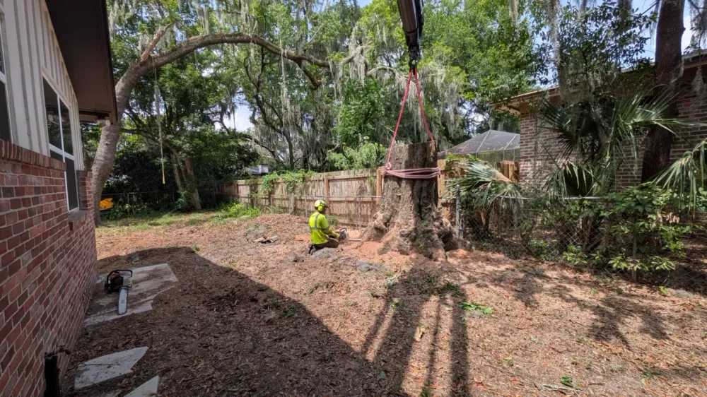 Crane strap lowering onto a large oak stump as a worker makes the cut in a backyard removal in Jacksonville, FL
