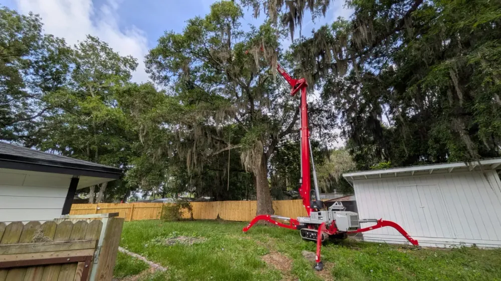 Compact red tracked spider crane set up on outriggers in a fenced backyard to reach a tall moss-draped tree in Jacksonville, FL