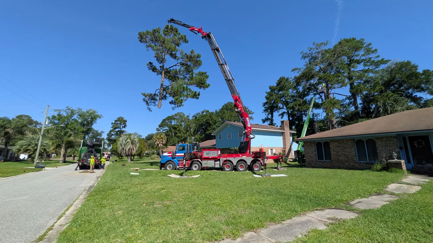Jax Tree Removal red Effer knuckle-boom crane on a blue Western Star truck reaching over a two-story home toward a pine while a green aerial lift raises a climber into the trees, Jacksonville, FL