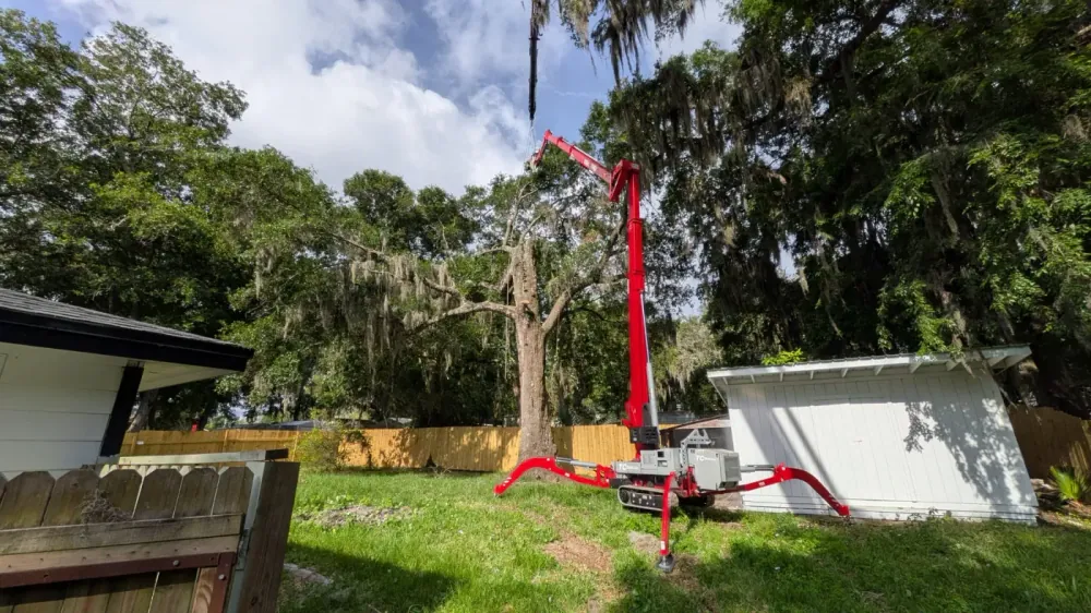 Red tracked spider crane with its boom raised to a tall backyard oak beside a shed in Jacksonville, FL