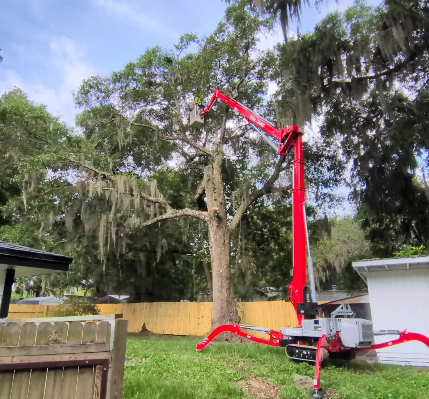 Tracked spider crane reaching a worker in its basket high into a tall moss-draped oak in a Jacksonville, FL backyard