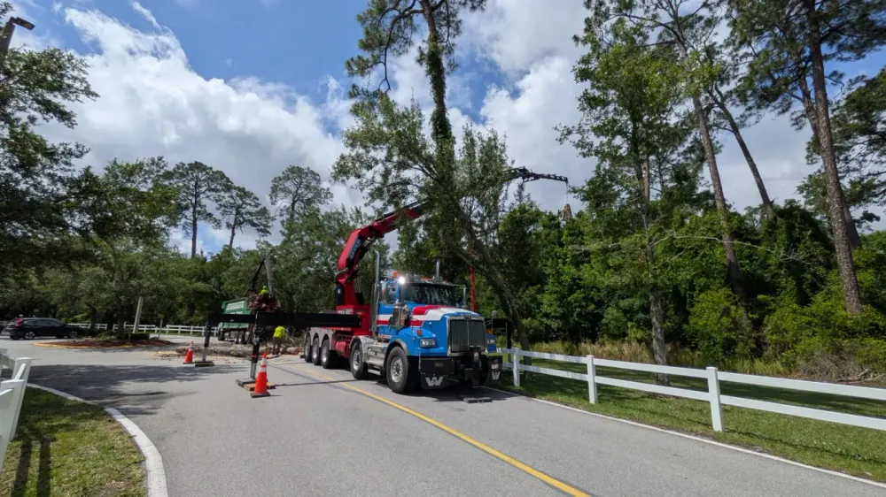 Jax Tree Removal blue crane truck staged on a tree-lined road with a white fence for a dead pine removal in Jacksonville, FL