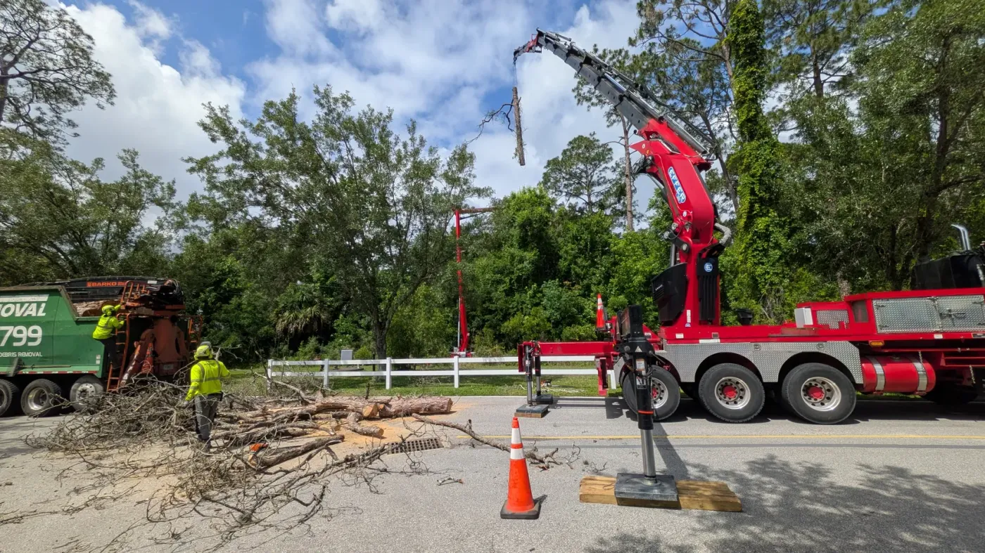 Jax Tree Removal crew feeding brush into the branded chipper truck while the crane works a pine on a Jacksonville, FL roadside
