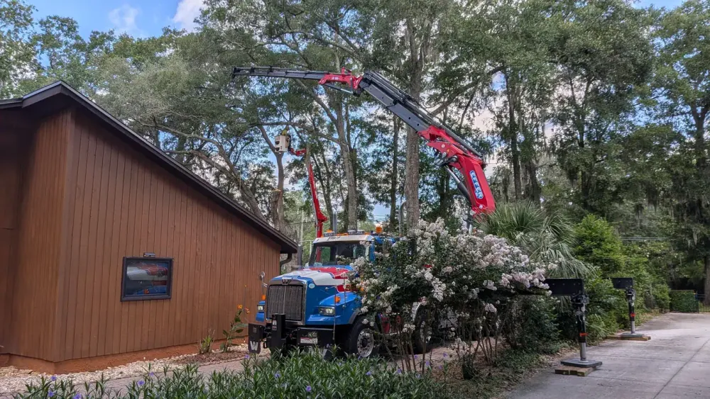 Jax Tree Removal blue Western Star truck with a red Effer knuckle-boom crane extended over a house while an aerial lift basket works high in the live oak canopy, Jacksonville, FL