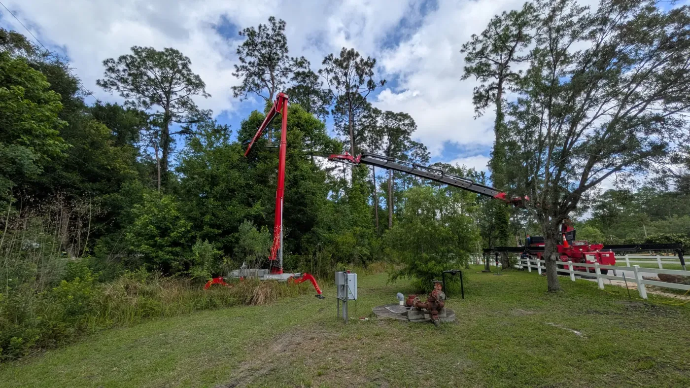 Two Jax Tree Removal cranes working a tall dead pine from both sides on a Jacksonville, FL roadside