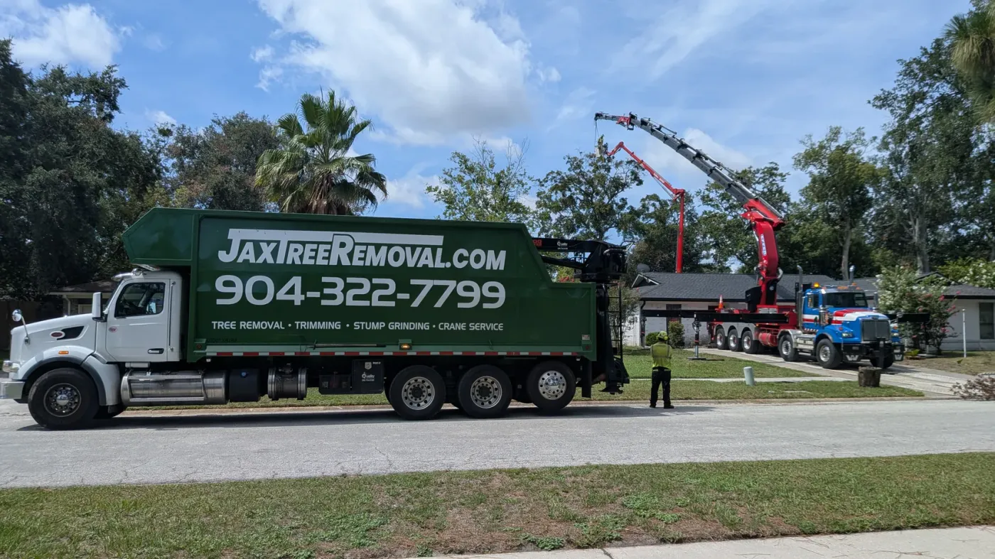 Green branded Jax Tree Removal dump truck on the street with the knuckle-boom crane crew working an oak behind — tree removal and debris hauling in Jacksonville, FL