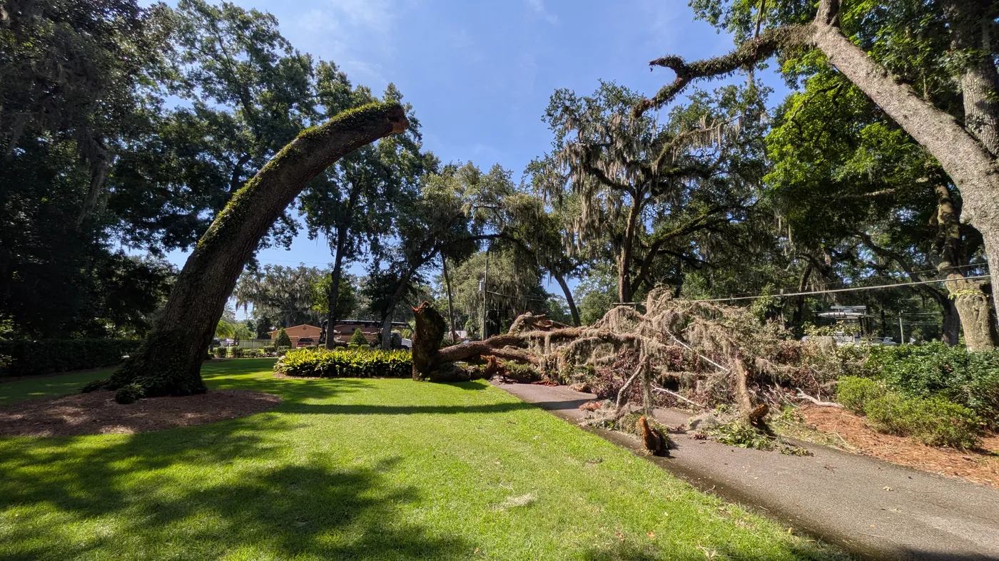 Storm-damaged leaning live oak with a broken limb down across the path at an upscale Jacksonville property — Jax Tree Removal