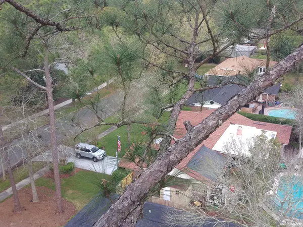 Treetop view over a Jacksonville neighborhood from the aerial lift — tree service in Jacksonville, FL by Jax Tree Removal