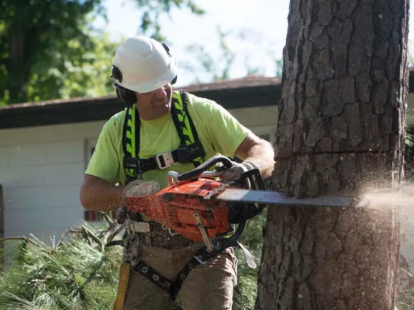 Arborist cutting a log with a chainsaw, sawdust flying — tree service in Jacksonville, FL by Jax Tree Removal