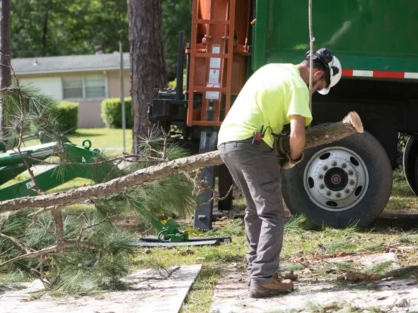 Arborist cutting a limb beside the truck — tree service in Jacksonville, FL by Jax Tree Removal