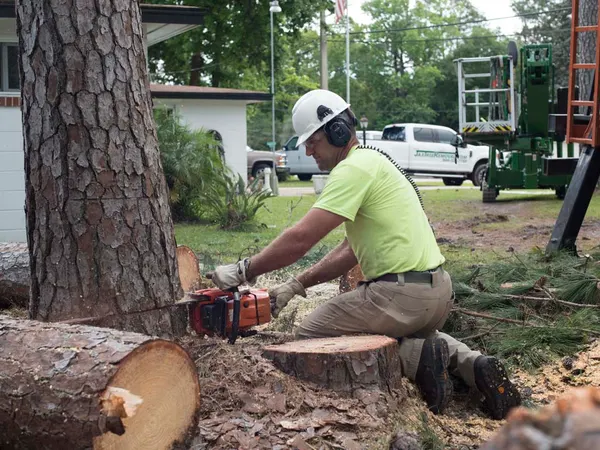 Arborist cutting log rounds with a chainsaw — tree service in Jacksonville, FL by Jax Tree Removal
