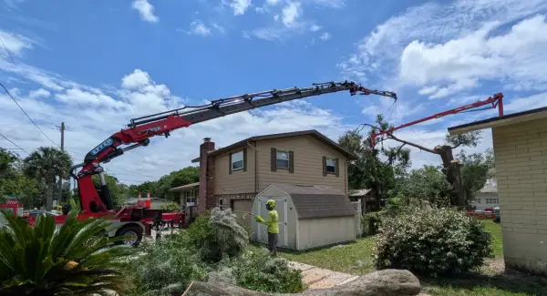 Big oak tree crane assist tree removal lakewood — crane tree removal in Jacksonville, FL by Jax Tree Removal