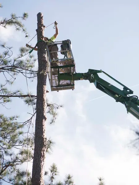 Aerial lift holding a suspended log during rigging — tree removal in Jacksonville, FL by Jax Tree Removal