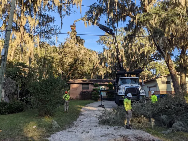 Crane truck and crew removing limbs under mossy oaks at a home — crane tree removal in Jacksonville, FL by Jax Tree Removal